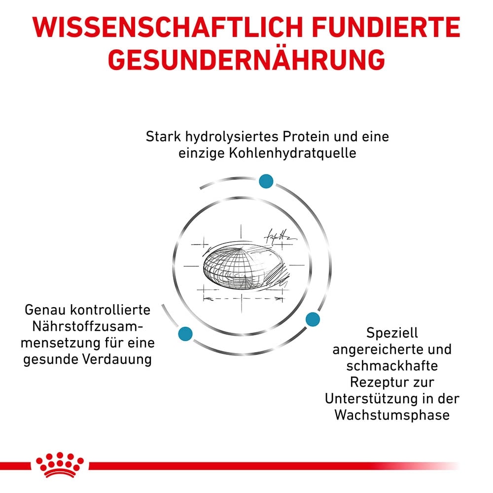 Royal Canin Hypoallergenic Puppy Trockennahrung für Hundewelpen _2