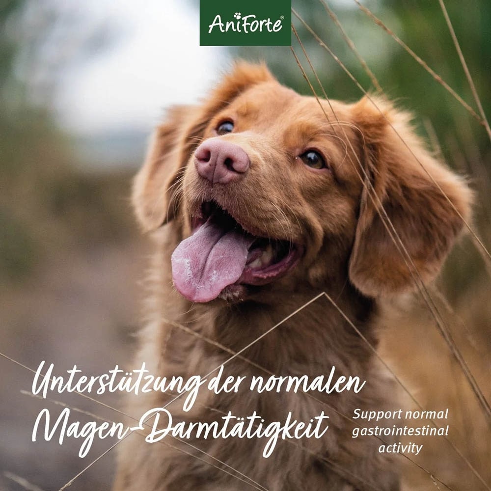 AniForte Indische Flohsamen für Hunde und Katzen_3