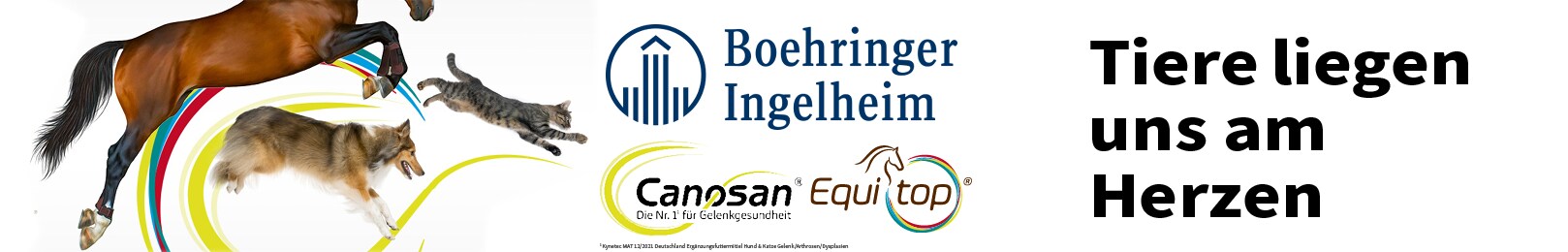 Boehringer Ingelheim