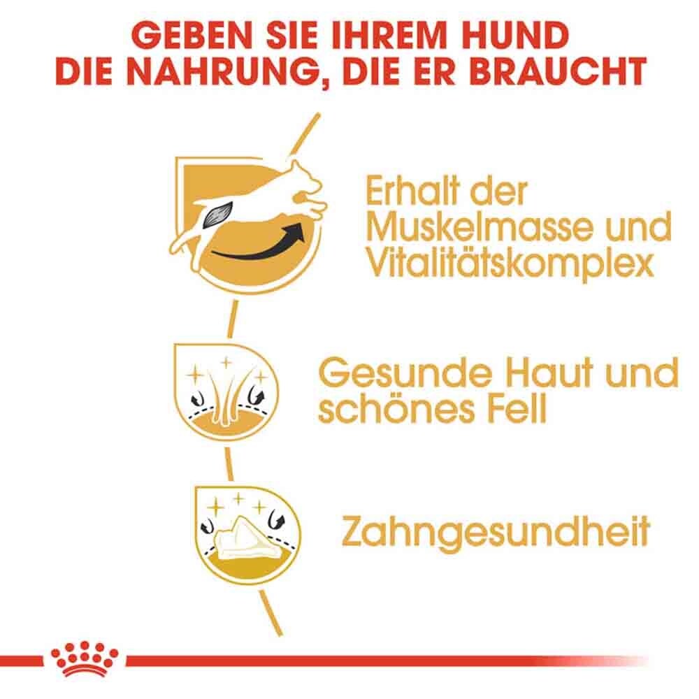 Royal Canin Jack Russell Terrier Adult Hundefutter trocken_4