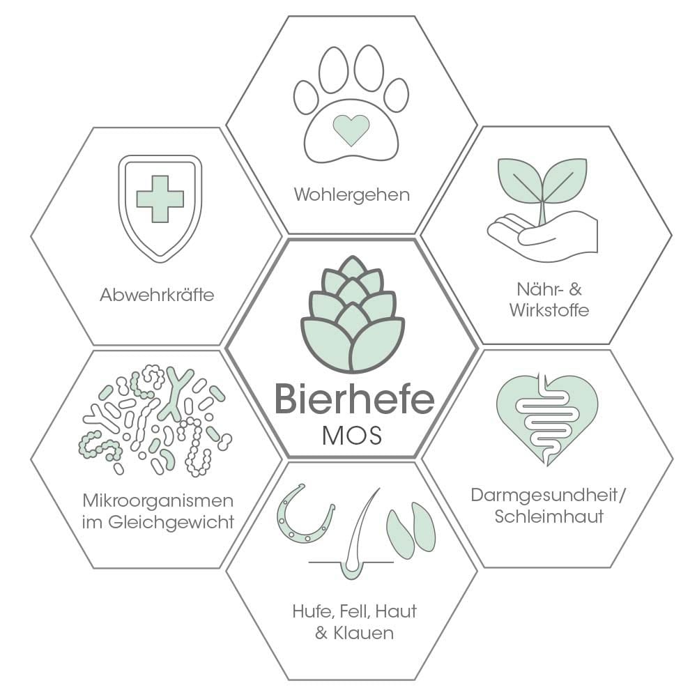 cdVet DarmRein Pro_5