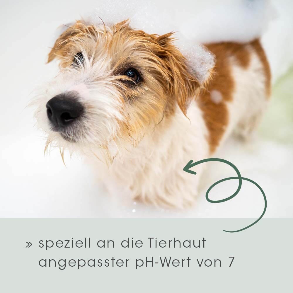 cdVet VeaVet Pflegeshampoo_3