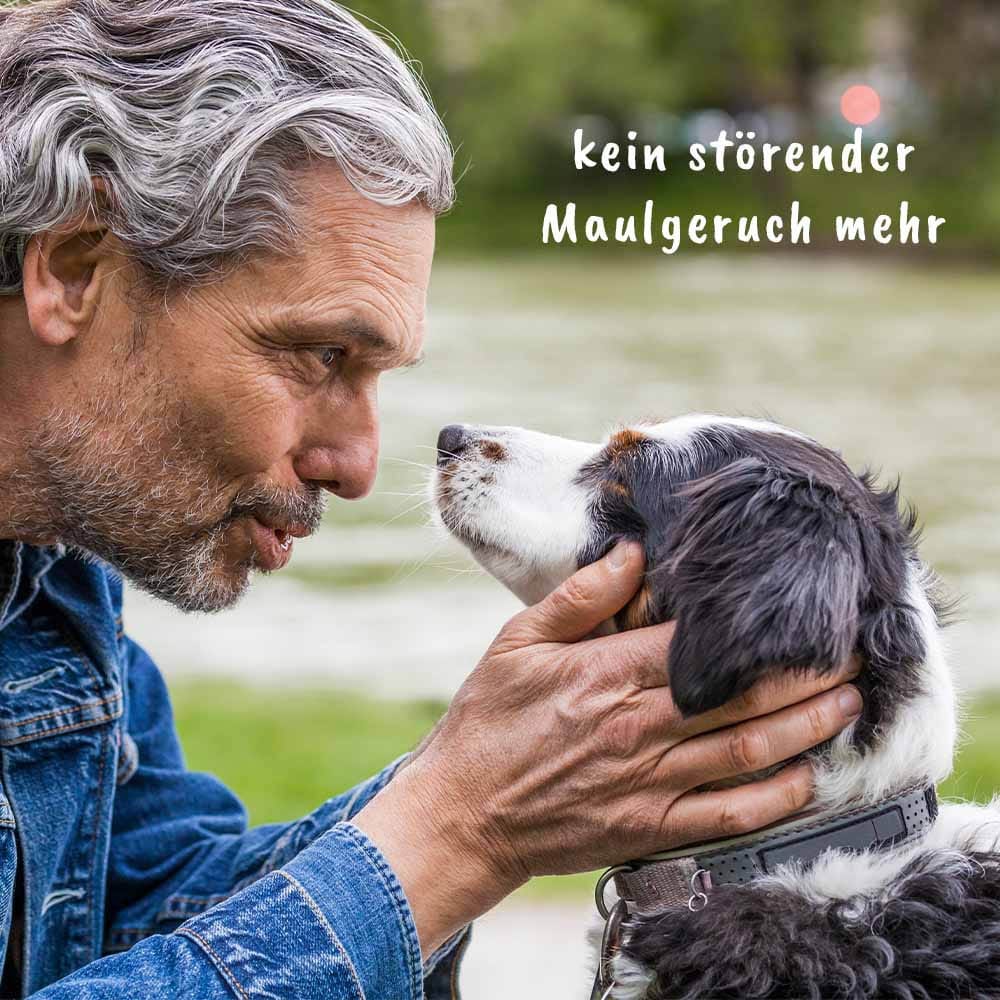 cdVet dentaVet Atemfrisch_6