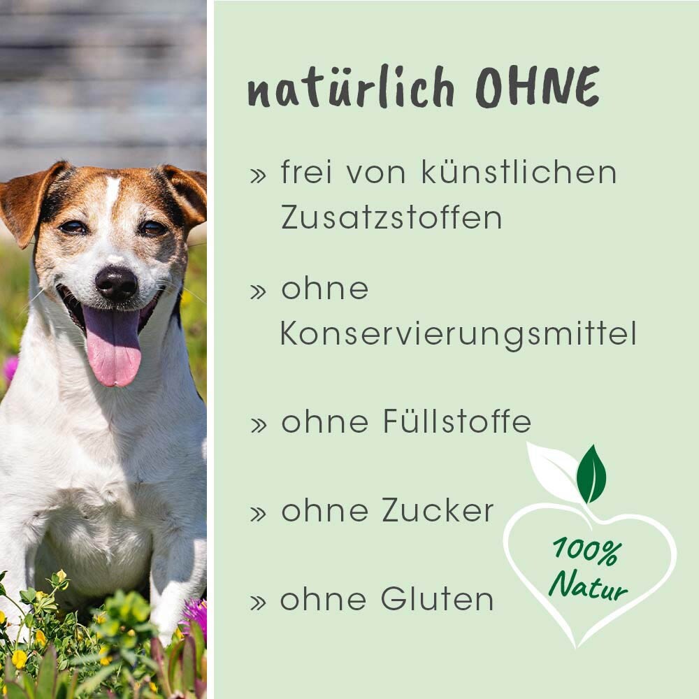 cdVet dentaVet anti-Plaque_7