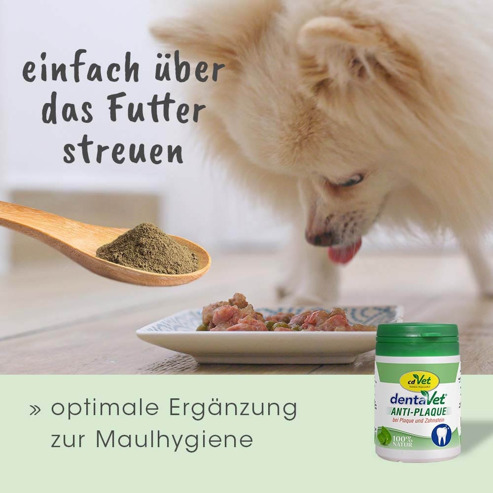 cdVet dentaVet anti-Plaque_8