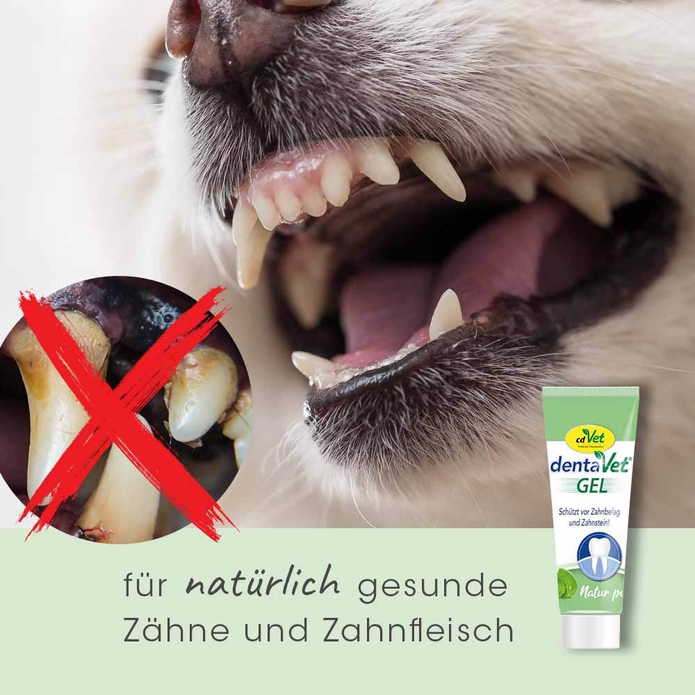cdVet dentaVet Gel_3