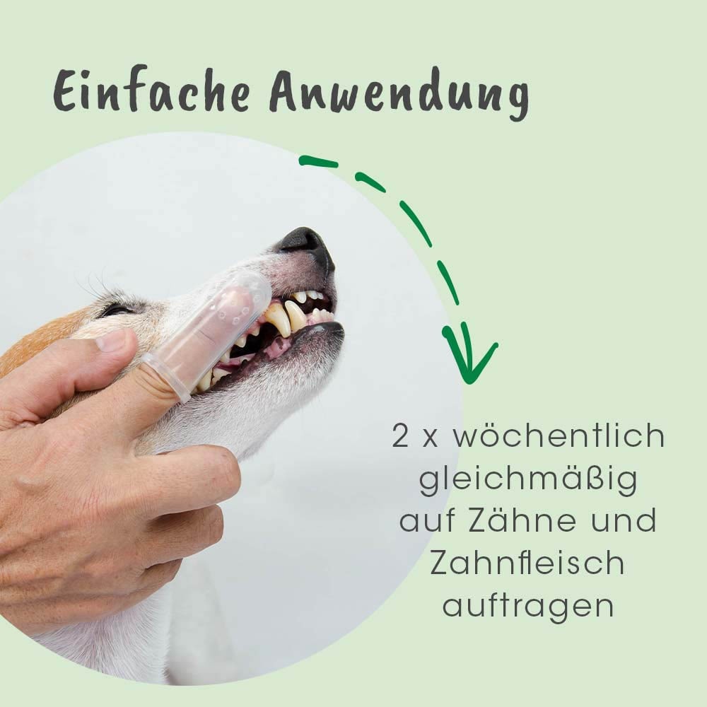 cdVet dentaVet Gel_4