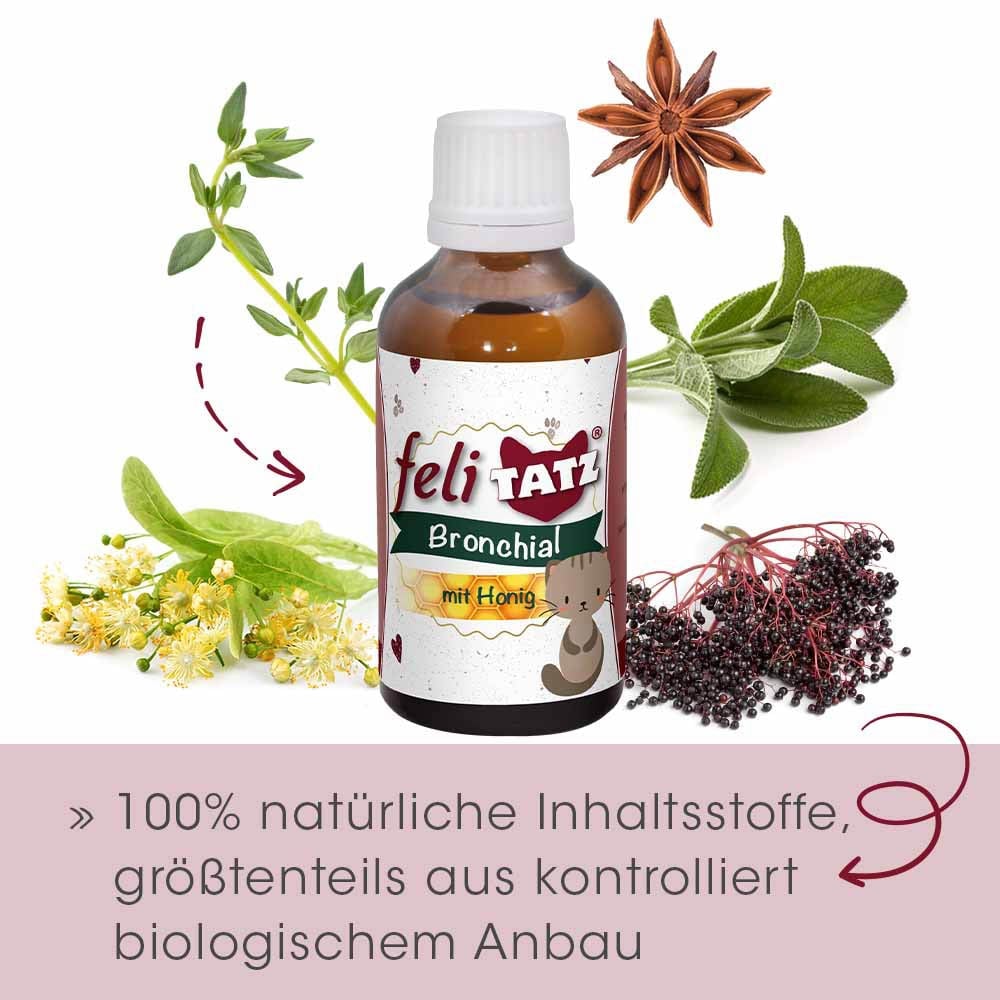 cdVet feliTATZ Bronchial_4
