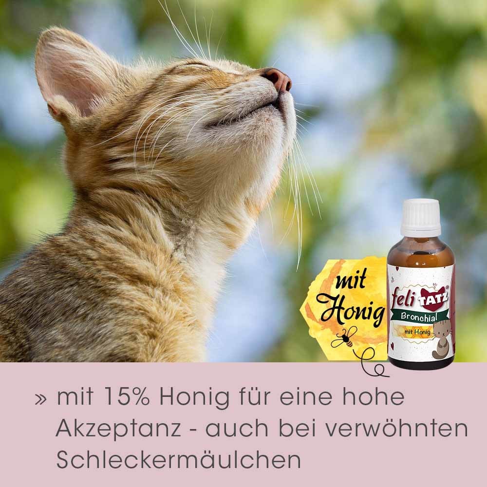 cdVet feliTATZ Bronchial_3