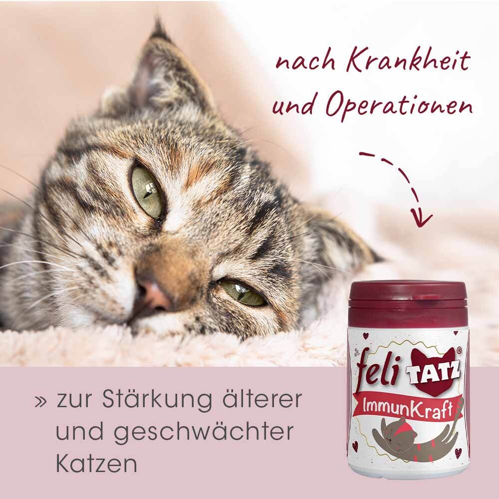 cdVet feliTATZ ImmunKraft_7