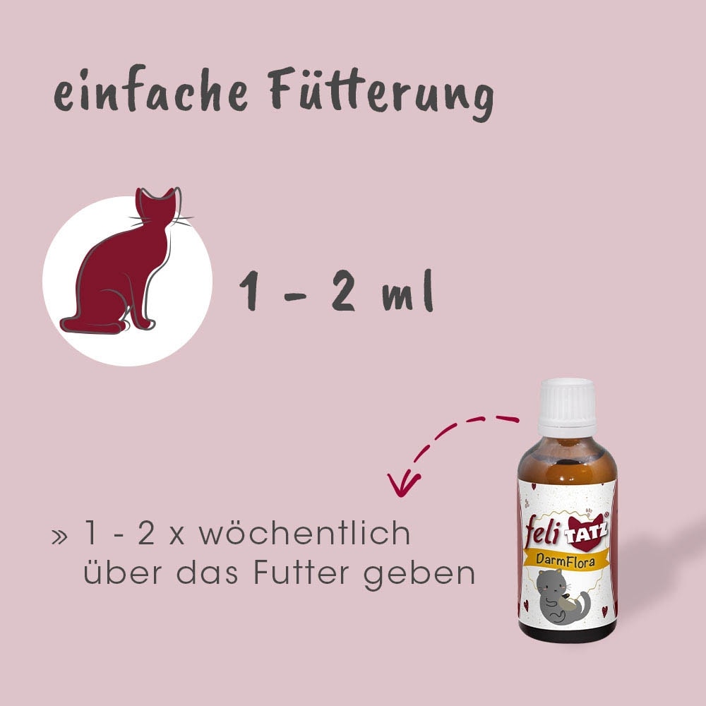 cdVet feliTATZ DarmFlora_5