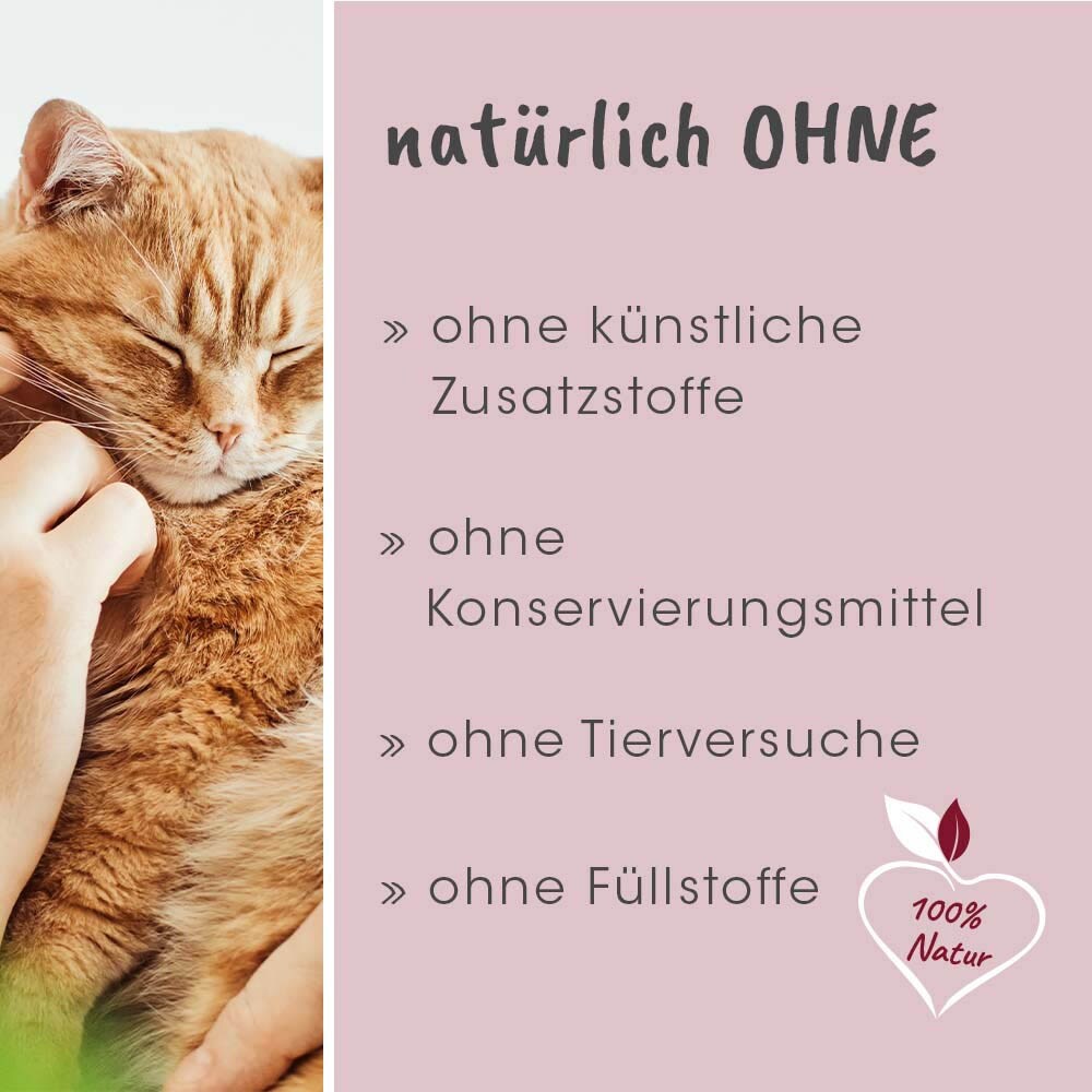 cdVet feliTATZ ZahnPflege_6