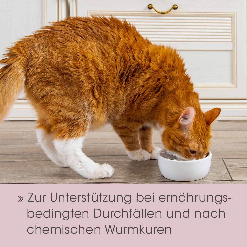 cdVet feliTATZ DarmRegulanz_3