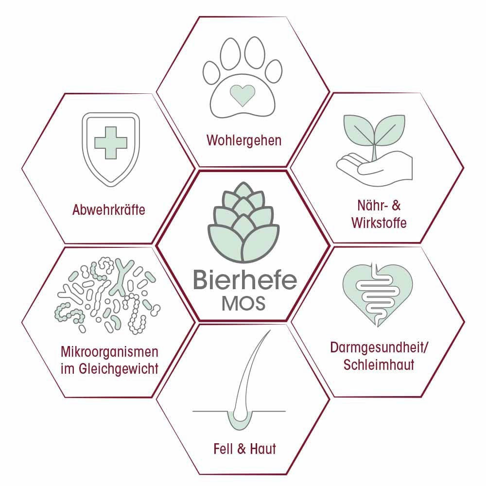 cdVet feliTATZ DarmRegulanz_4