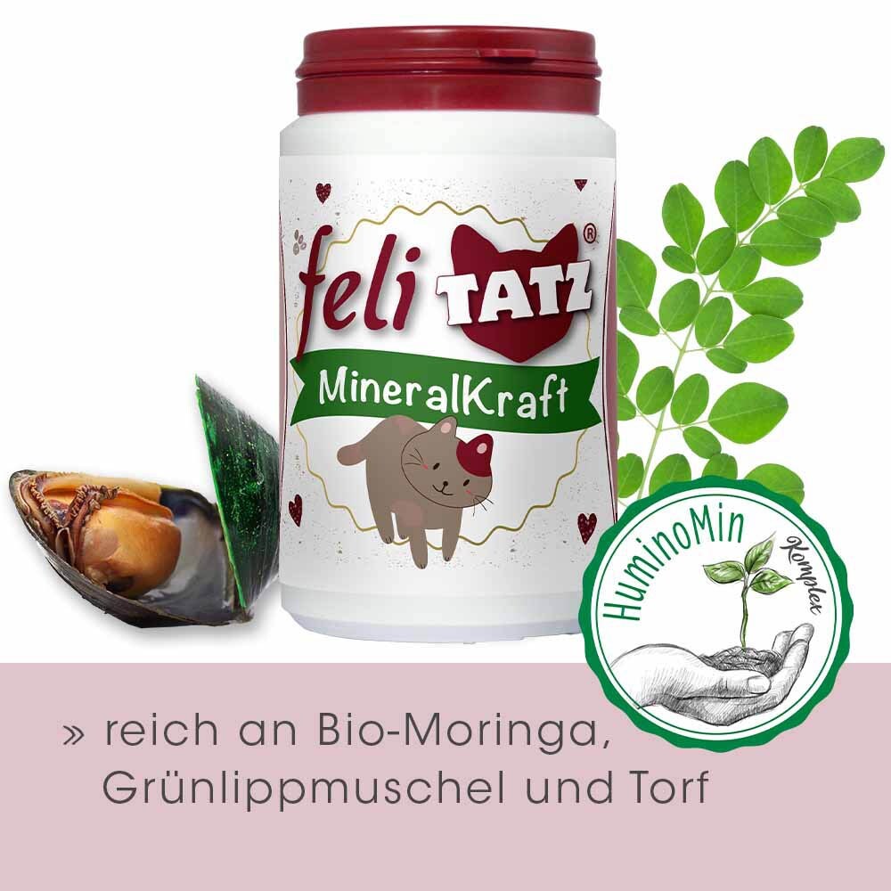 cdVet feliTATZ MineralKraft_4