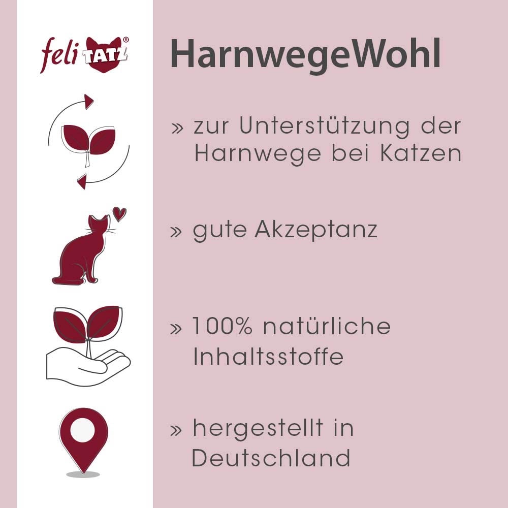 cdVet feliTATZ HarnwegeWohl_2