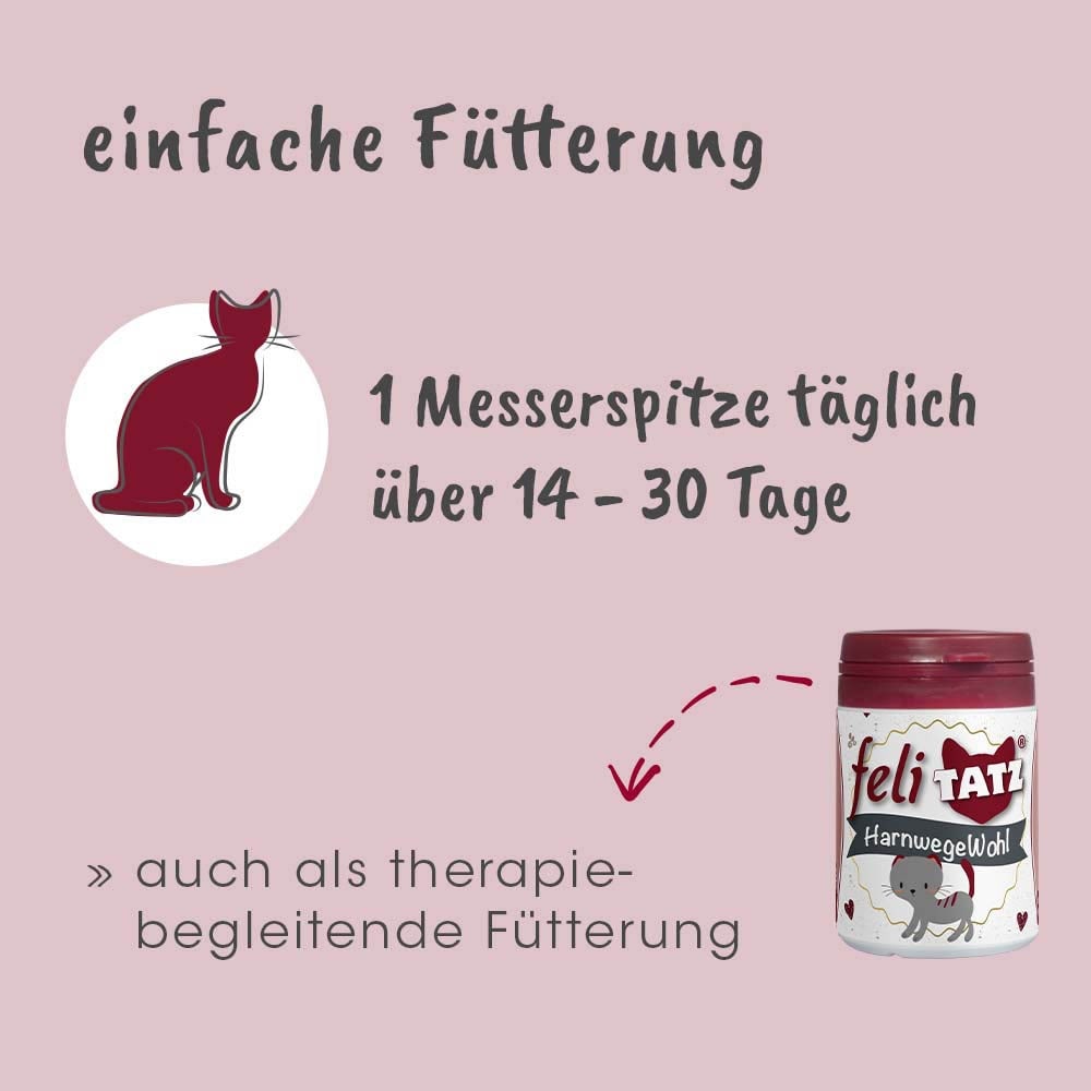 cdVet feliTATZ HarnwegeWohl_5