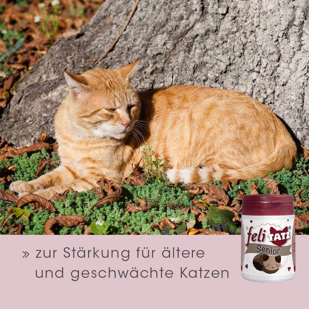 cdVet feliTATZ Senior_8