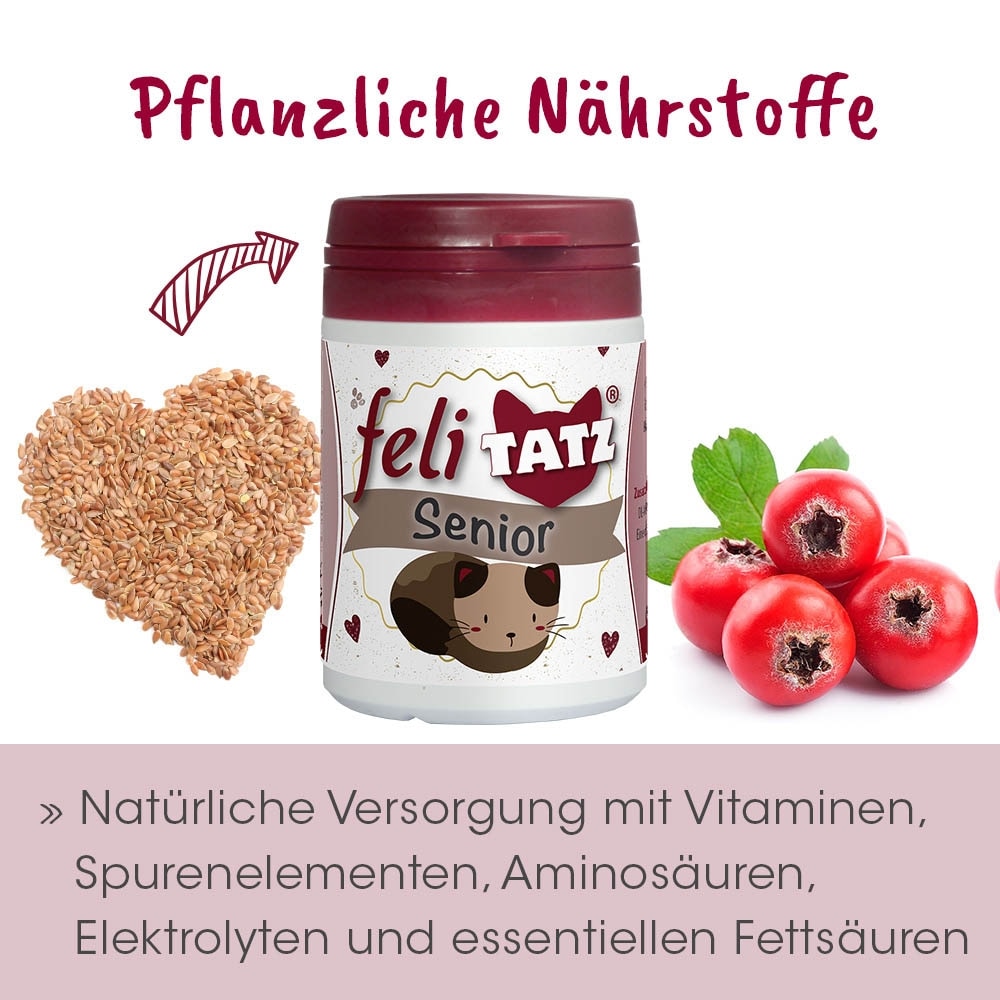 cdVet feliTATZ Senior_5