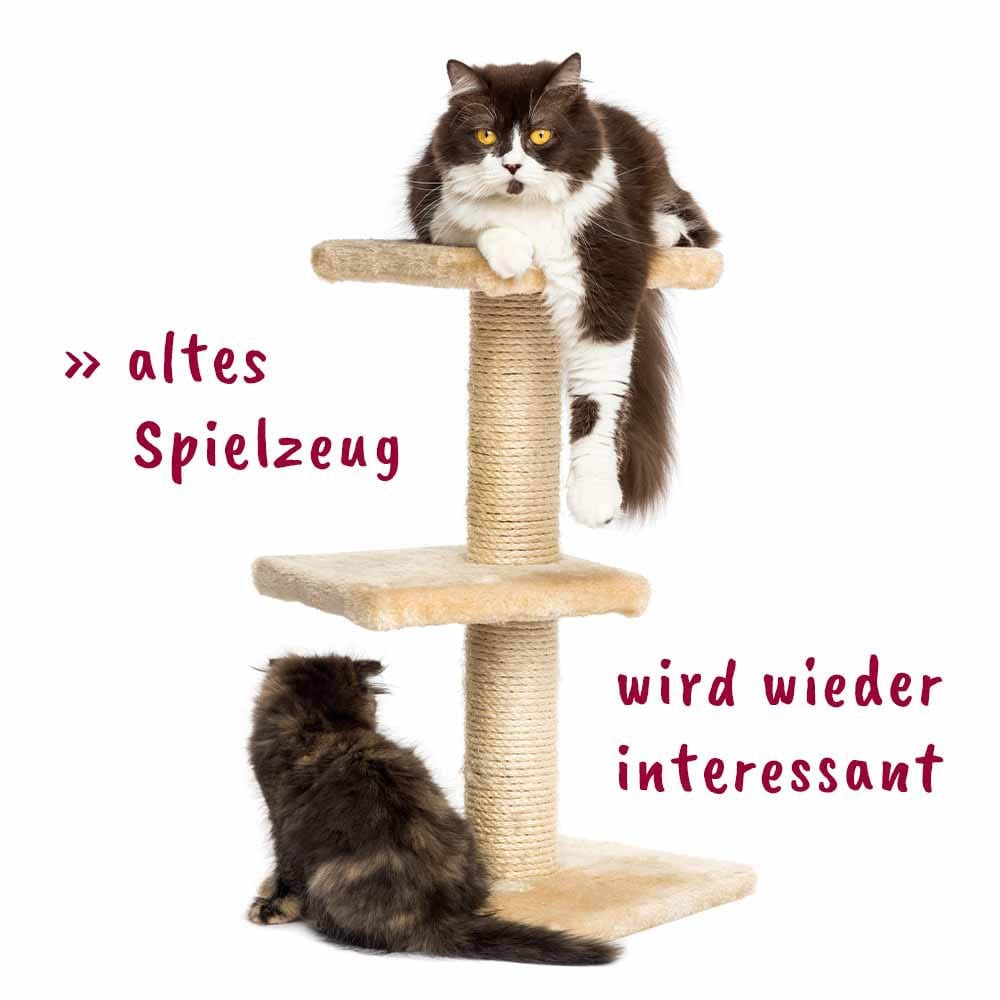 cdVet KatzenMinze Spray_4