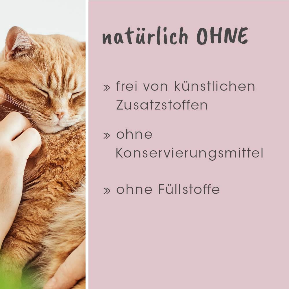 cdVet feliTATZ GeruchsStopp_5