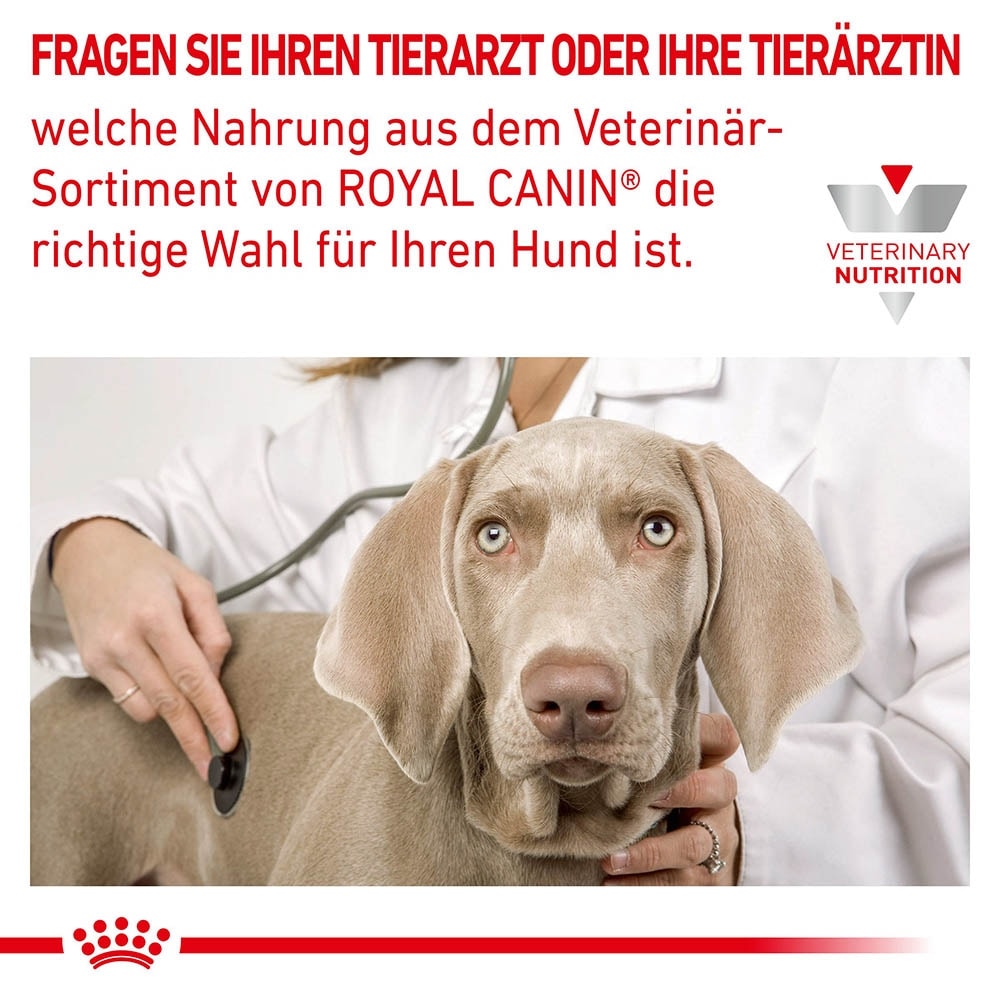 Royal Canin Veterinary Cardiac Nassfutter für Hunde_6