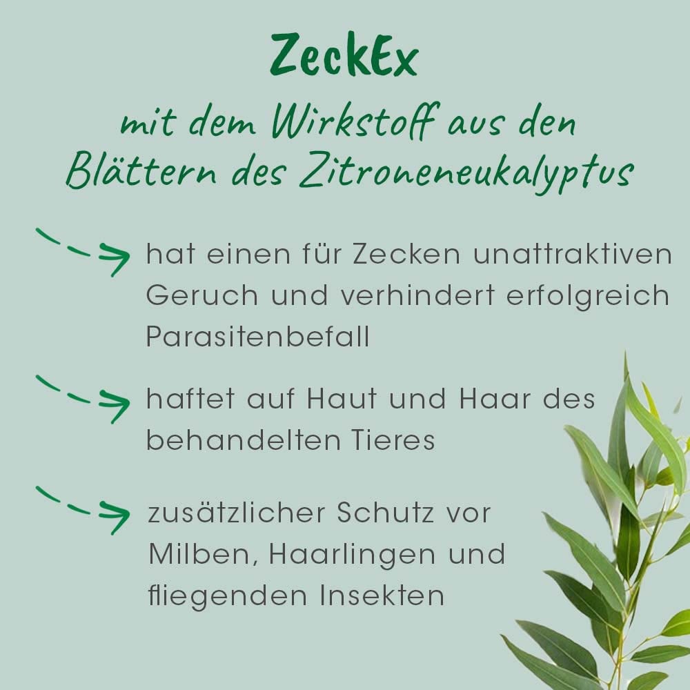 cdVet ZeckEx_6