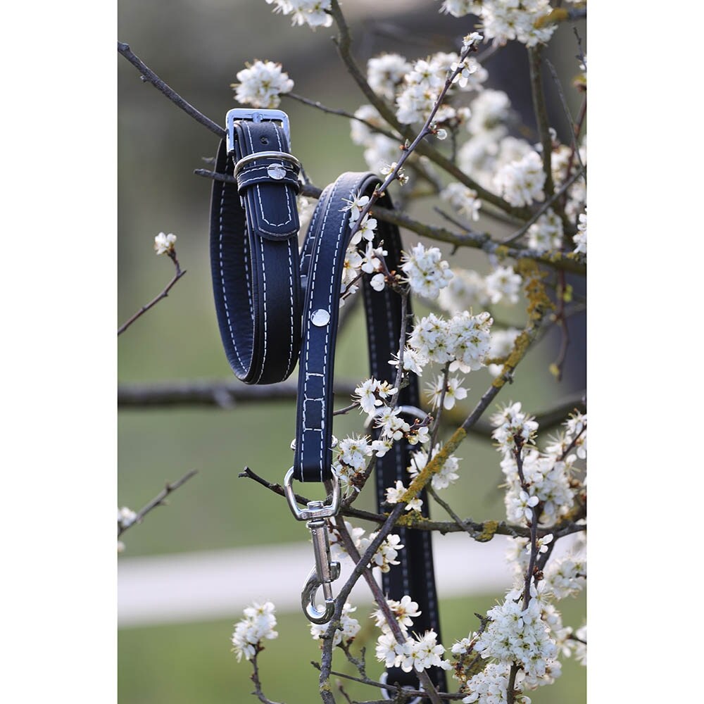 Das Lederband Barcelona Halsband Black _5