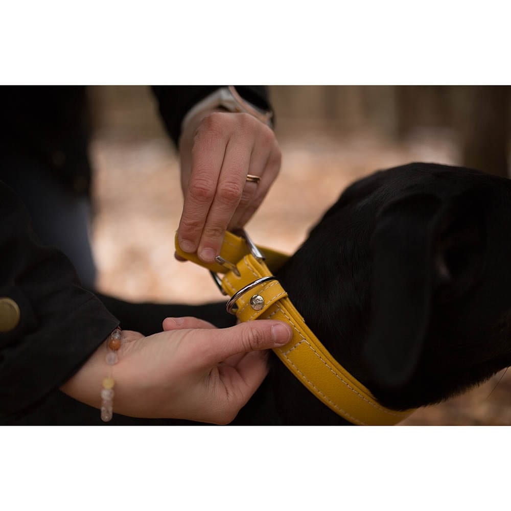 Das Lederband Barcelona Halsband Vibrant-Yellow_3