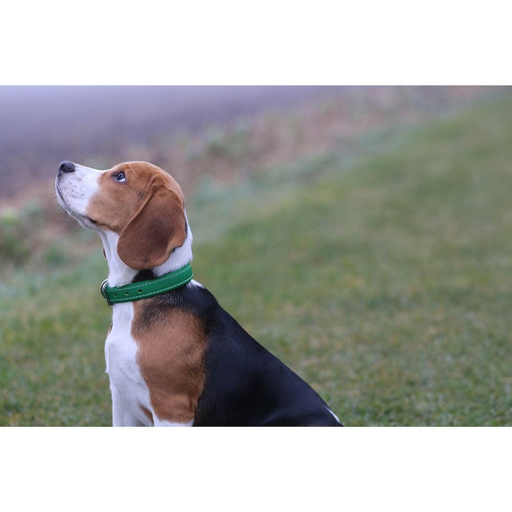 Das Lederband Barcelona Halsband Summer-Green_4
