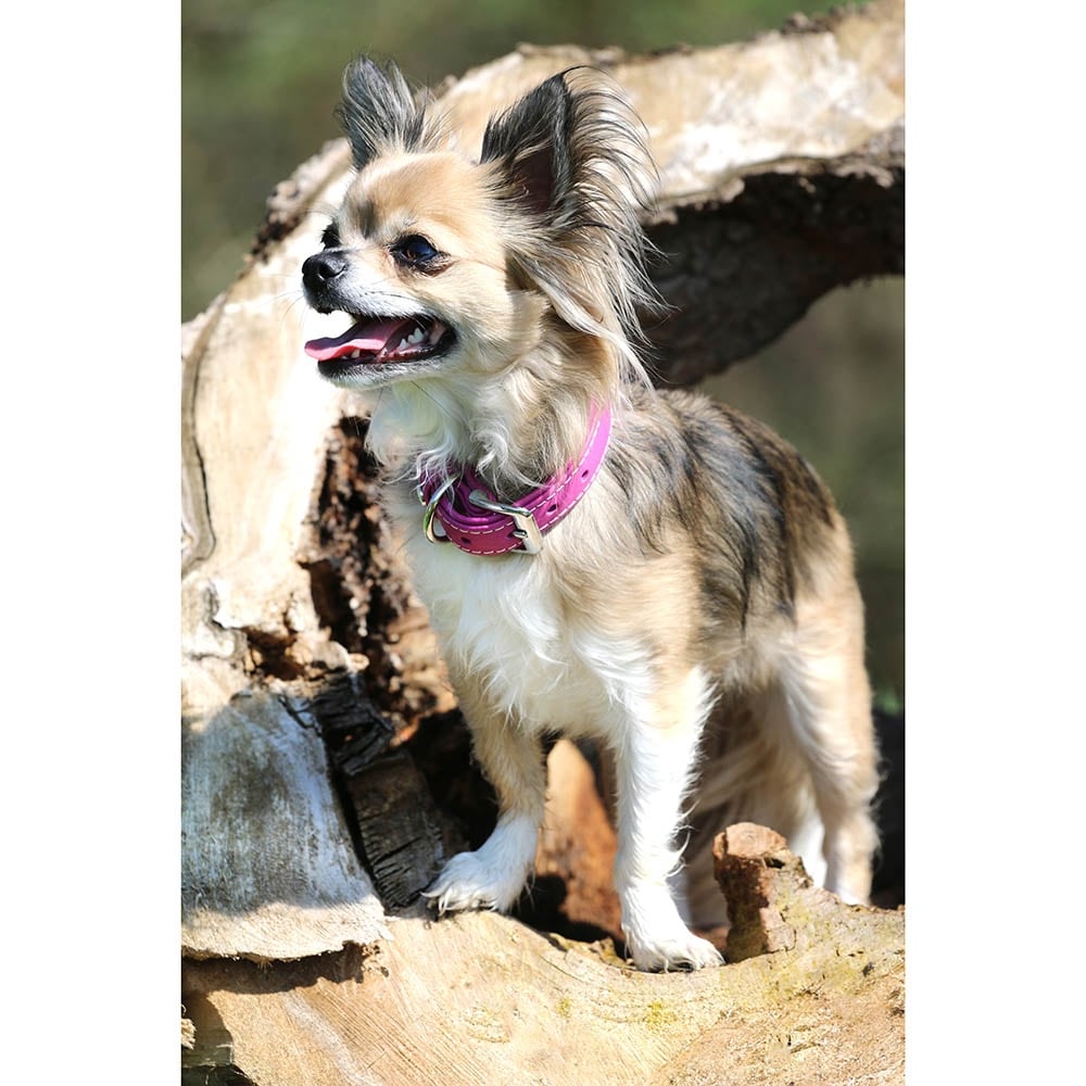 Das Lederband Barcelona Halsband Rose-Violet_3