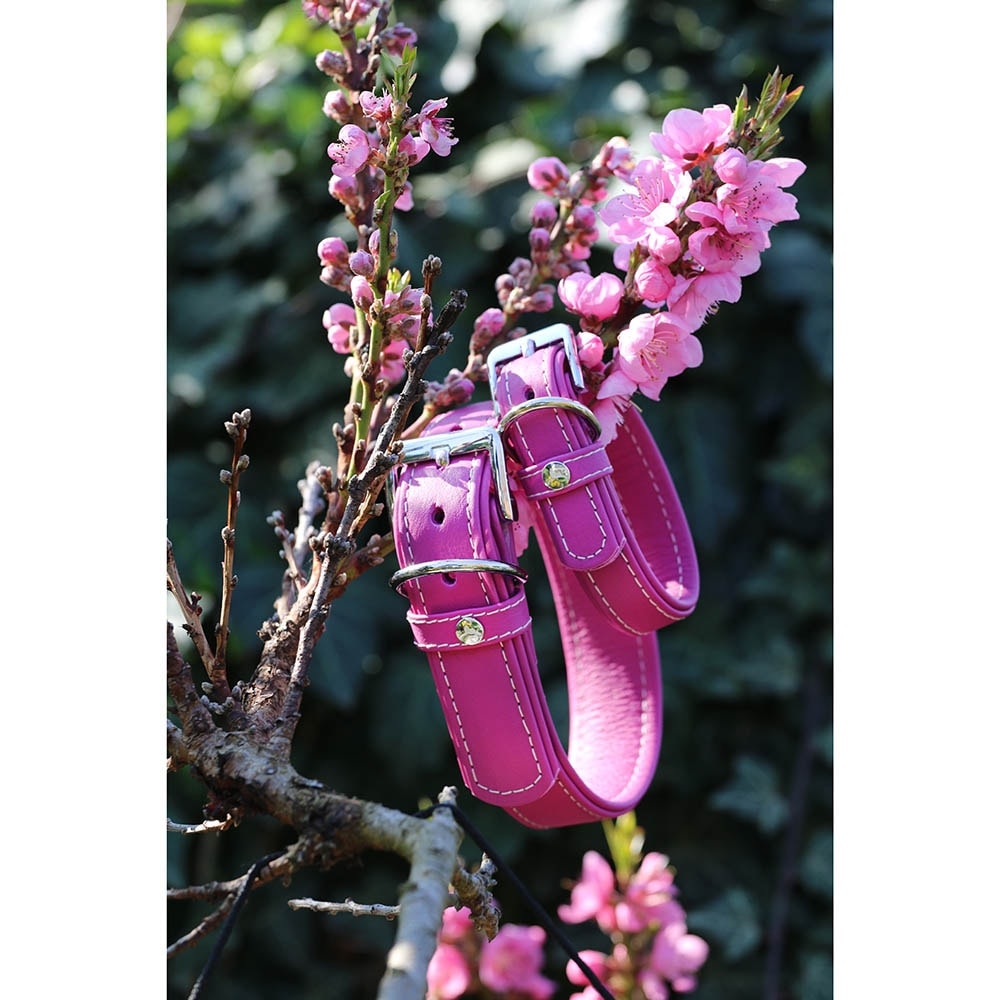 Das Lederband Barcelona Halsband Rose-Violet_4