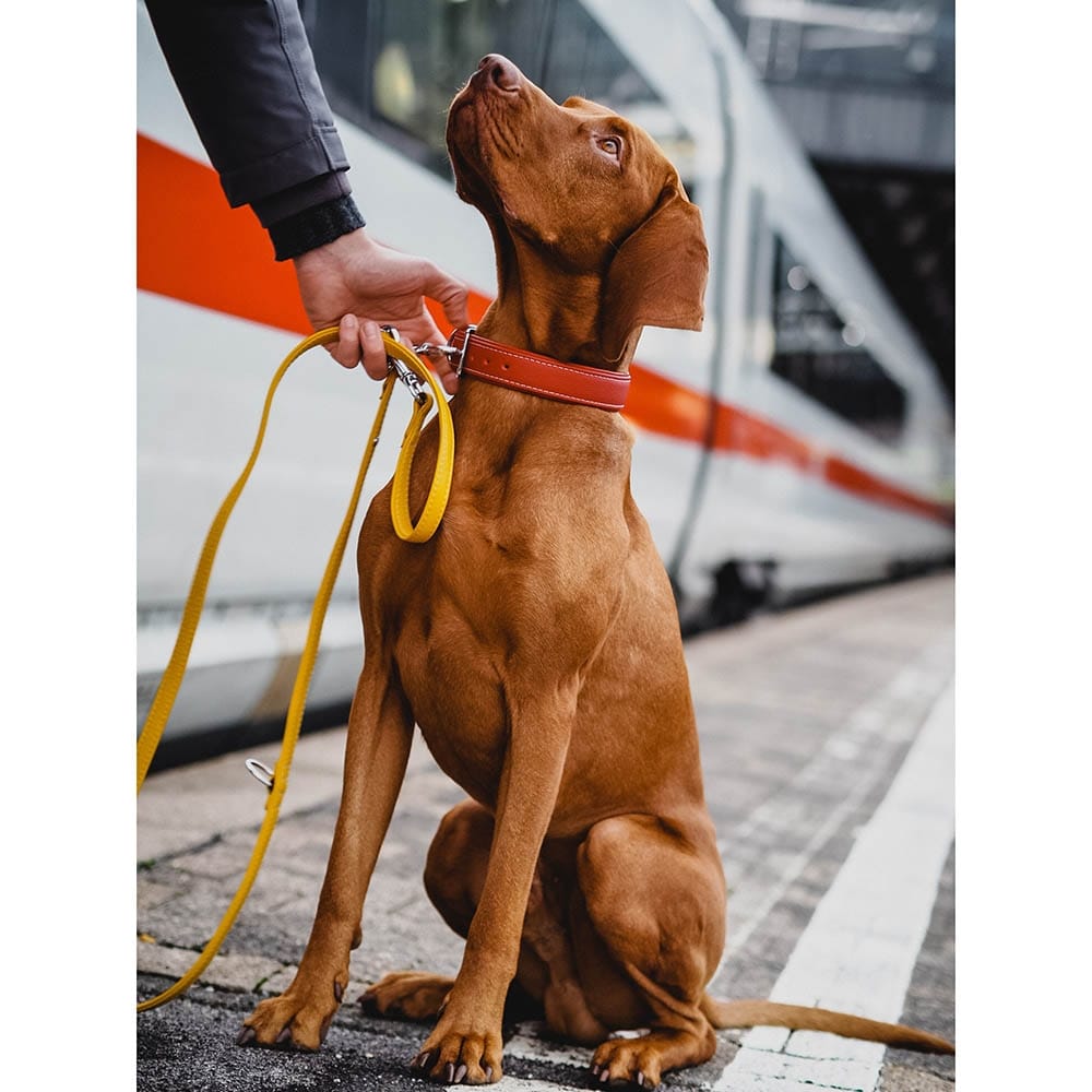 Das Lederband Barcelona Halsband Indian-Red_3