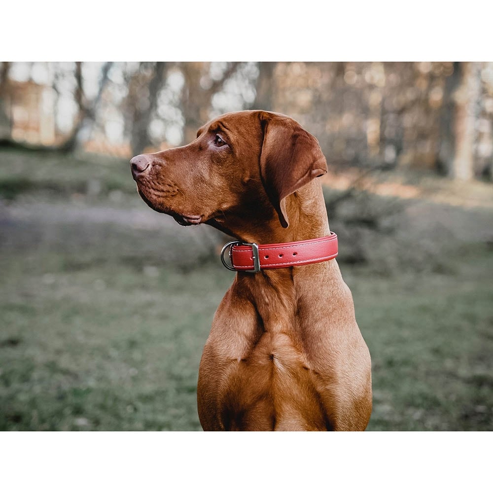 Das Lederband Barcelona Halsband Indian-Red_4