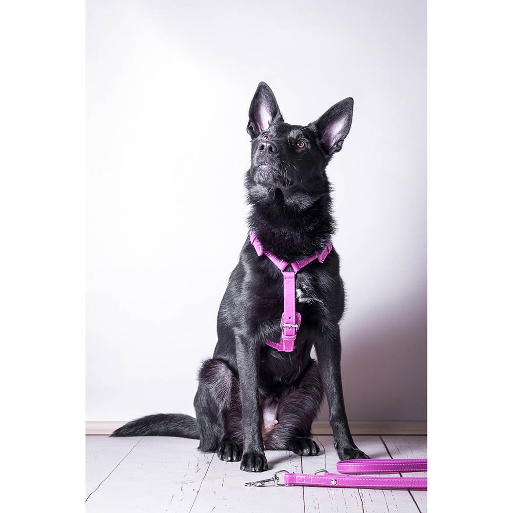 Das Lederband Barcelona Geschirr Rose-Violet_3