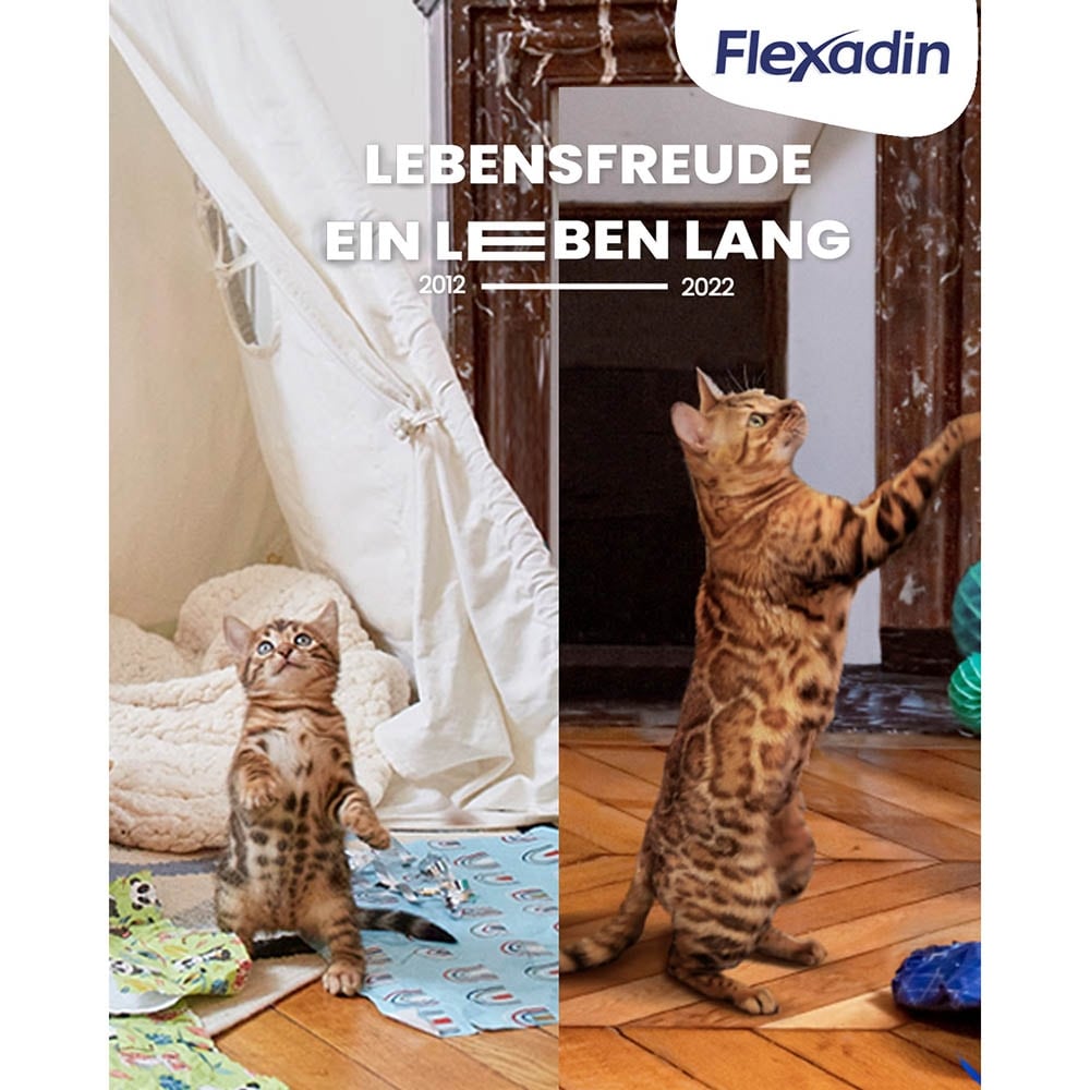 Vetoquinol Flexadin Cat 60_7