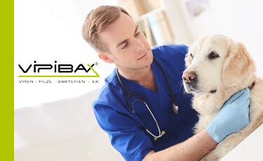 ViPiBaX