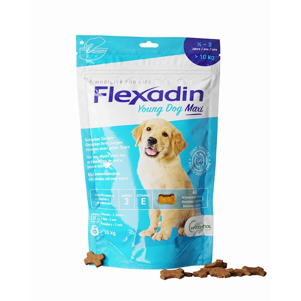 Vetoquinol Flexadin Young Dog Maxi 300g = ca. 60 Chews