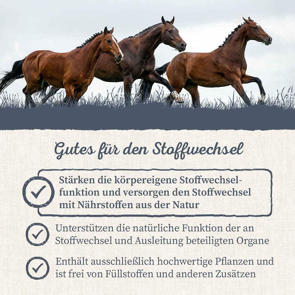 Krauterie Stoffwechsel Kräuter für Pferde_5