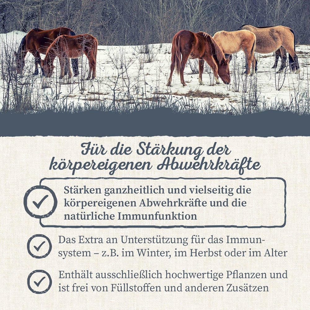 Krauterie Abwehr Kräuter für Pferde_5