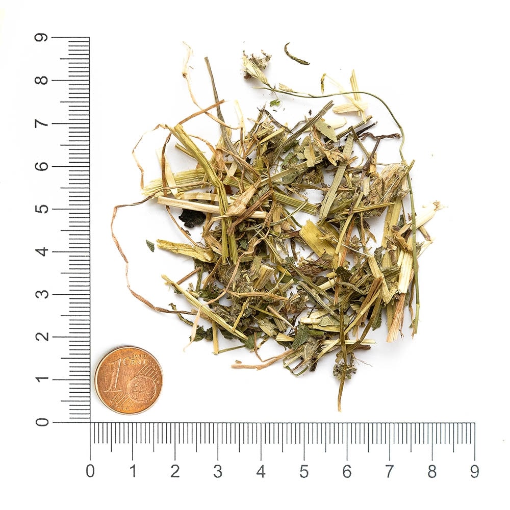 Krauterie Frühlings Kräuter für Pferde_3