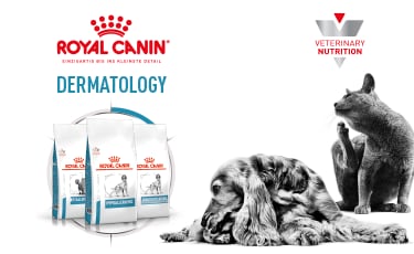 Royal Canin Dermatology