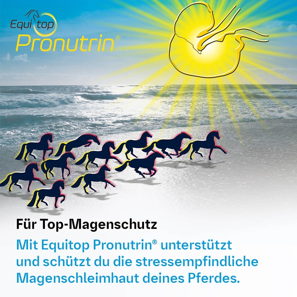 Boehringer Ingelheim Equitop Pronutrin_3