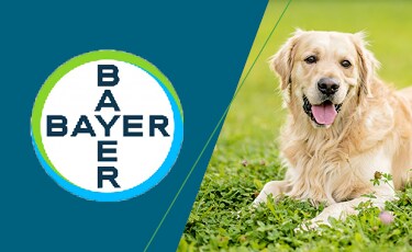 Bayer