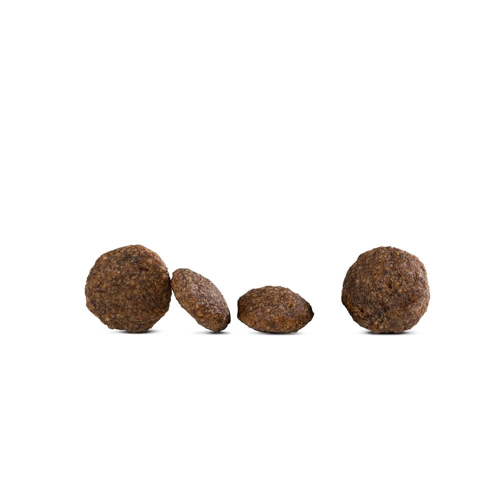 Happy Dog Sensible Mini Canada_2