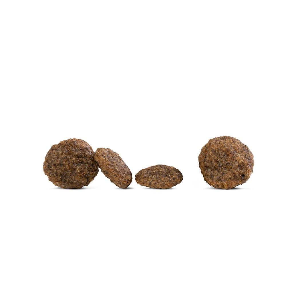 Happy Dog Sensible Mini Montana_2