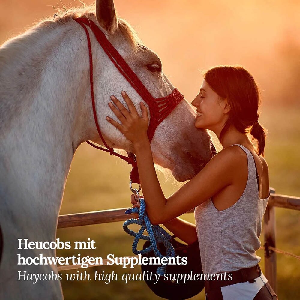 AniForte Vitality Cobs Magen_4