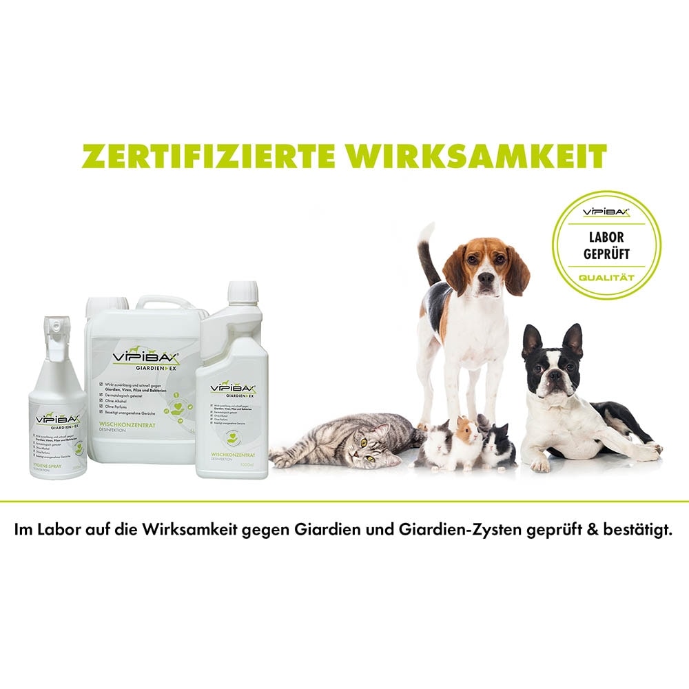 ViPiBaX Giardien Schnelltest_5