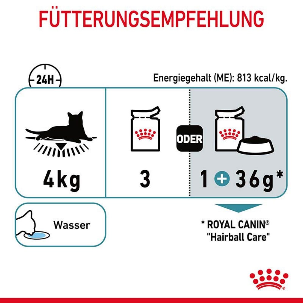 Royal Canin Hairball Care Katzennahrung Feucht gegen Haarballenbildung_7