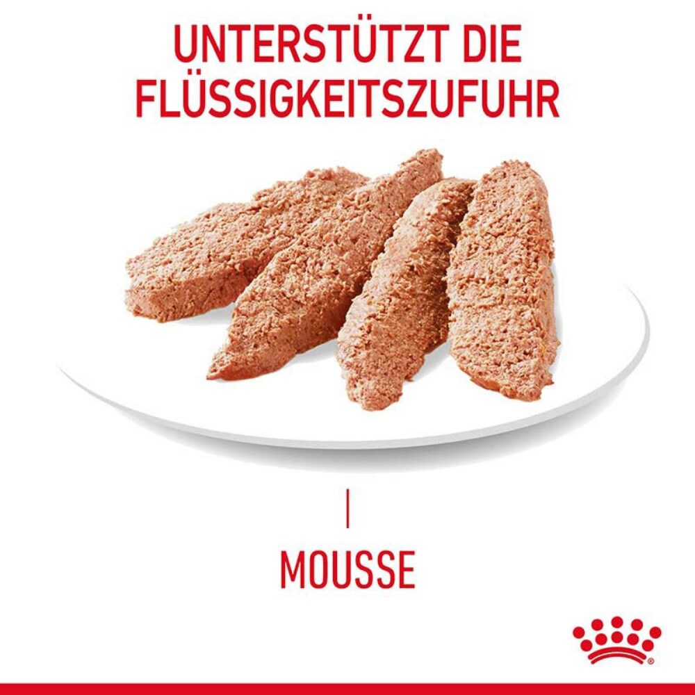 Royal Canin Hair & Skin Care Mousse Nassfutter für Katzen für gesundes Fell_3